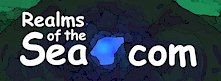 REALMS Logo